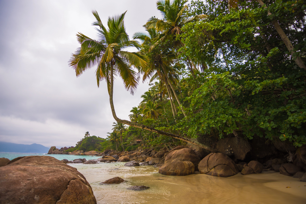 transfery z Ilha Grande